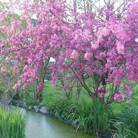 مبيت وإفطار Turbenthal Gastehaus Zum Tulpenbaum المظهر الخارجي الصورة